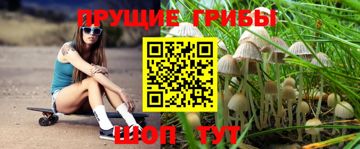 Галлюциногенные грибы ЛСД  Вход с VPN  Майкоп 