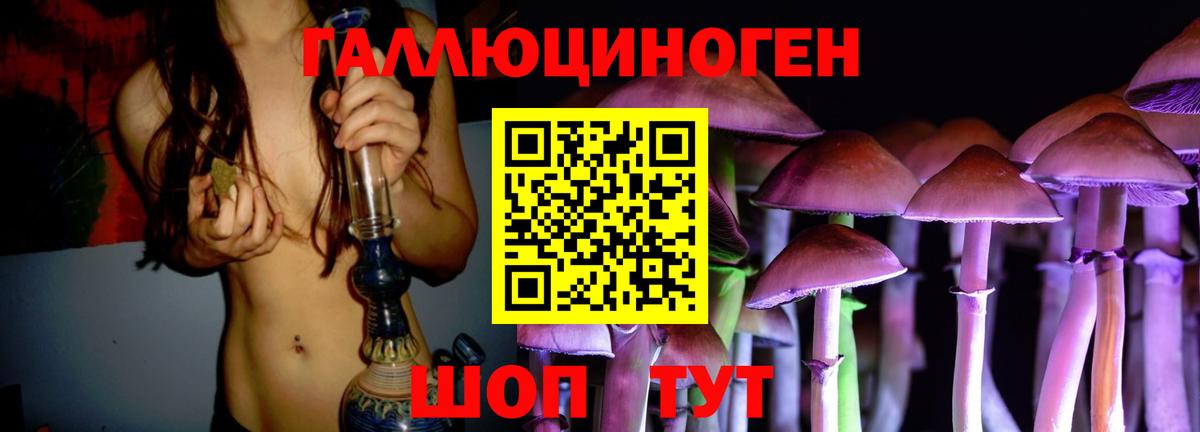 Галлюциногенные грибы Psilocybe Майкоп