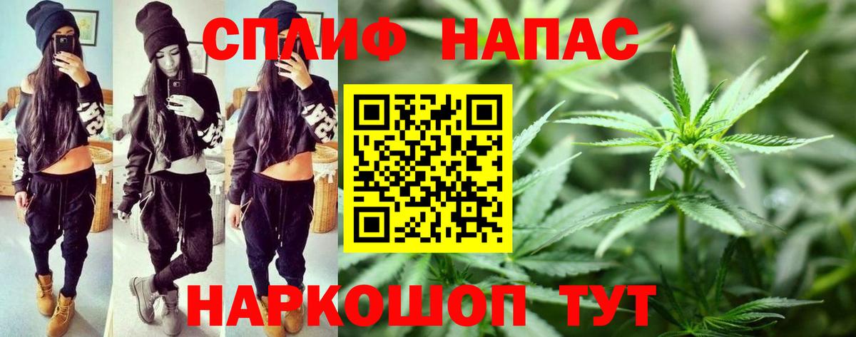 Конопля план  Шишки марихуана конопля  Майкоп  Вход с VPN 